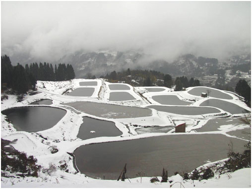 Yamakoshi winter scene showing mud ponds filled with snow water