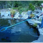 Cleaning pump-fed Pond with net