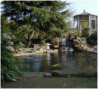 Peter Wadddington Koi Pond