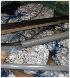 Whole oyster shell media in sacks, commonly seen in the filtration chambers.