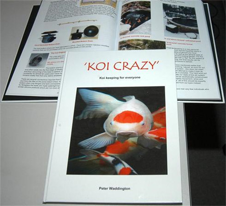 Koi Crazy By Peter Waddington