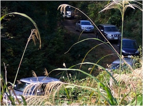 narrow tracks leading up to the four main ponds were littered with hire cars 