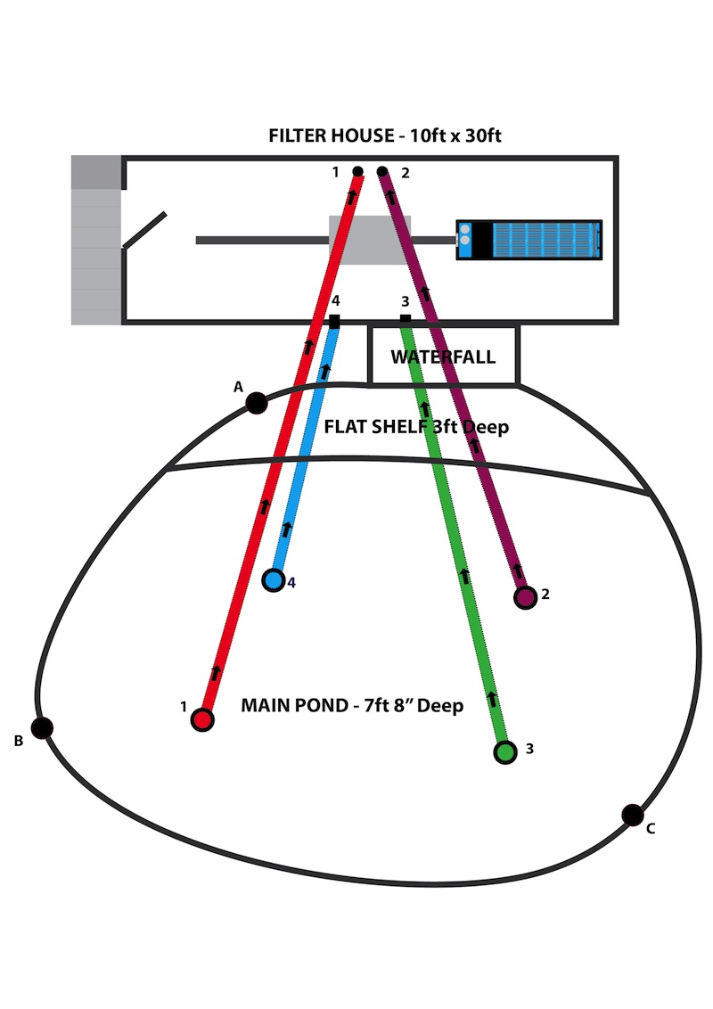 Peter Waddington Pond Diagram-v5