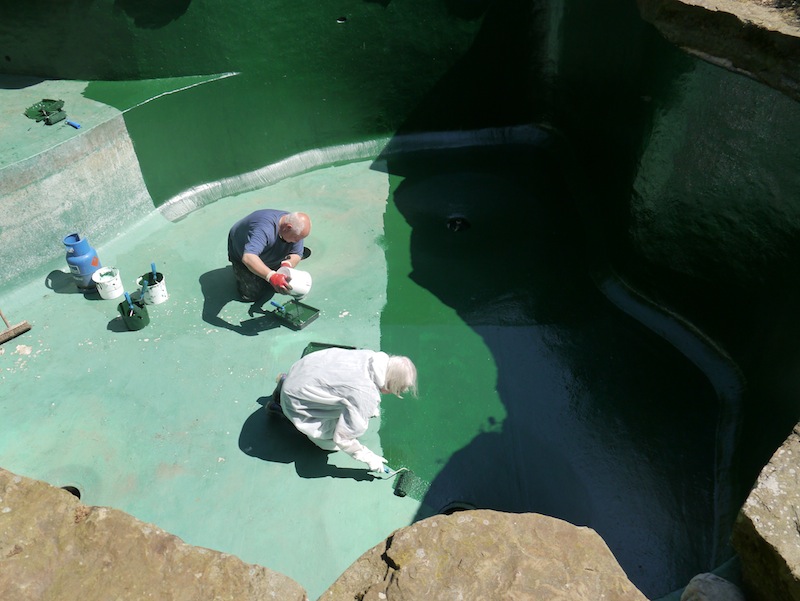 Repairing Koi pond