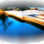 Pond design by Peter Waddington