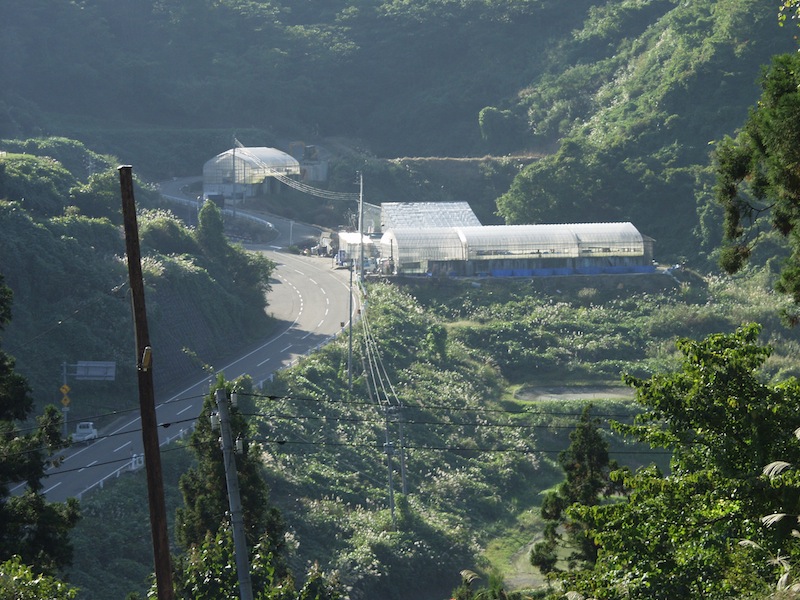 Seitaro Koi Farm in Japan