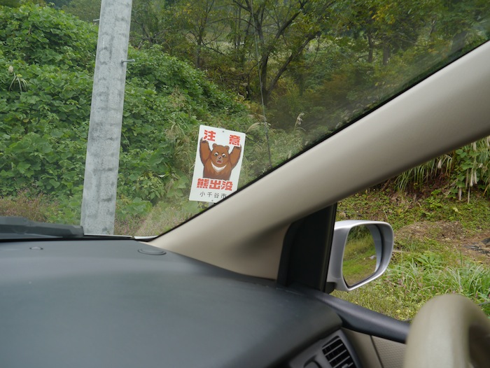 Sign showing bear warnings in the mountains