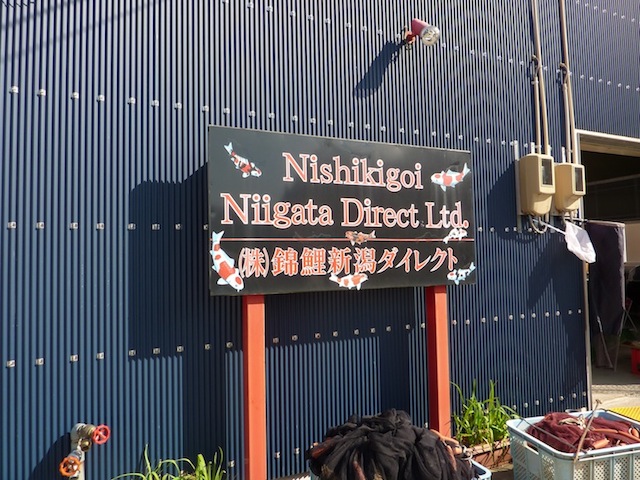 New facility of NND