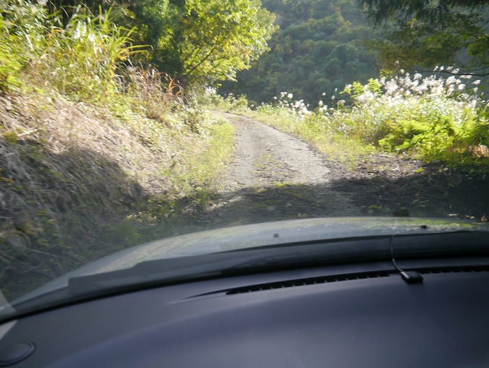 Narrow Road in the mountains