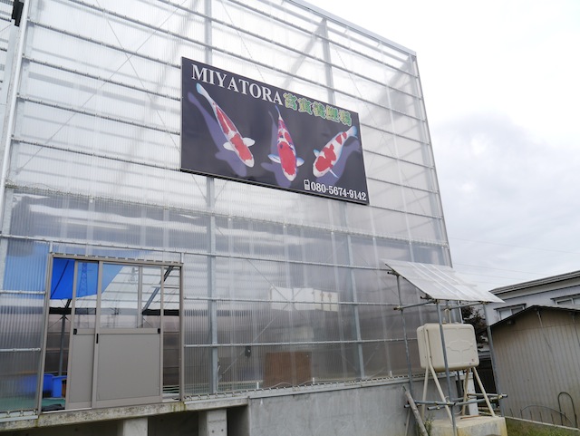 Miyatora, superb new facility at Budokubo