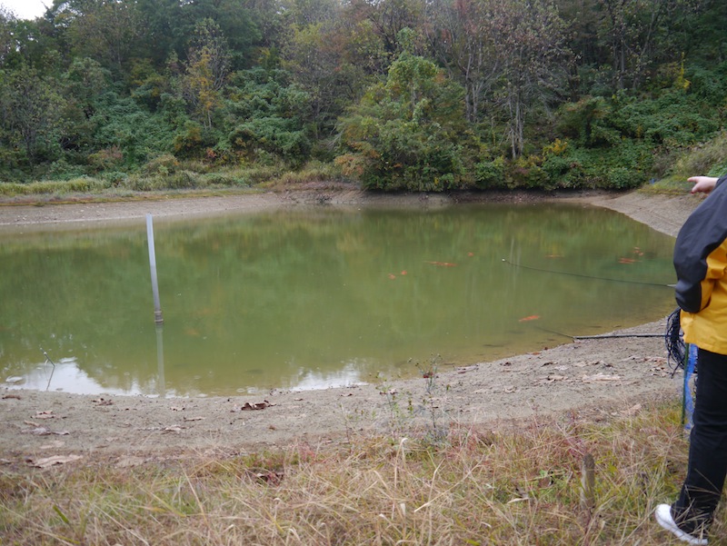 The pond had been partially drained each day for the past five days