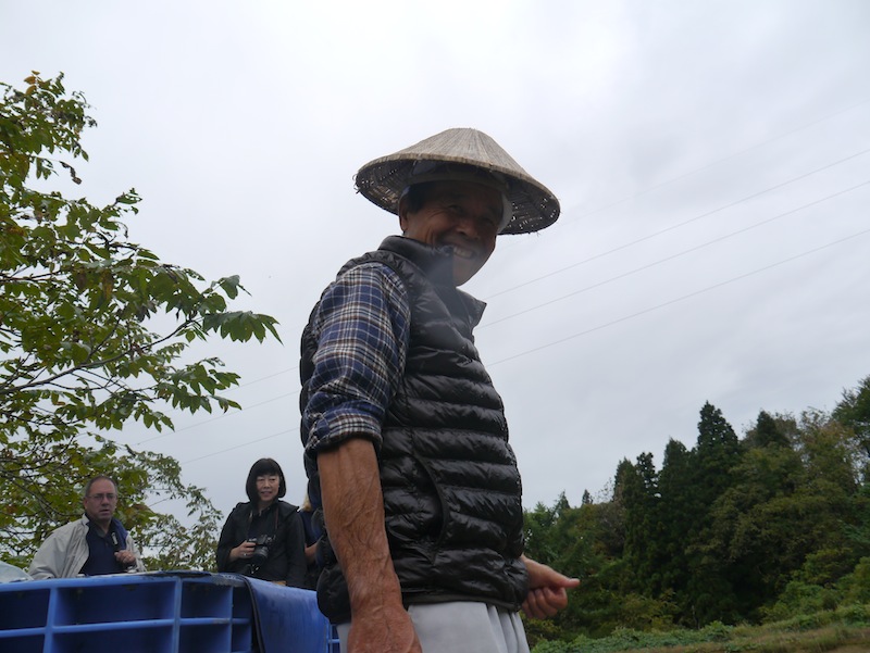 Harvesting koi in japan peter waddington 4