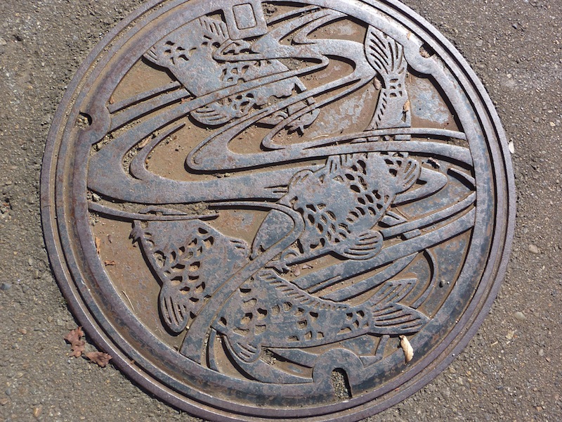 drain covers with Koi