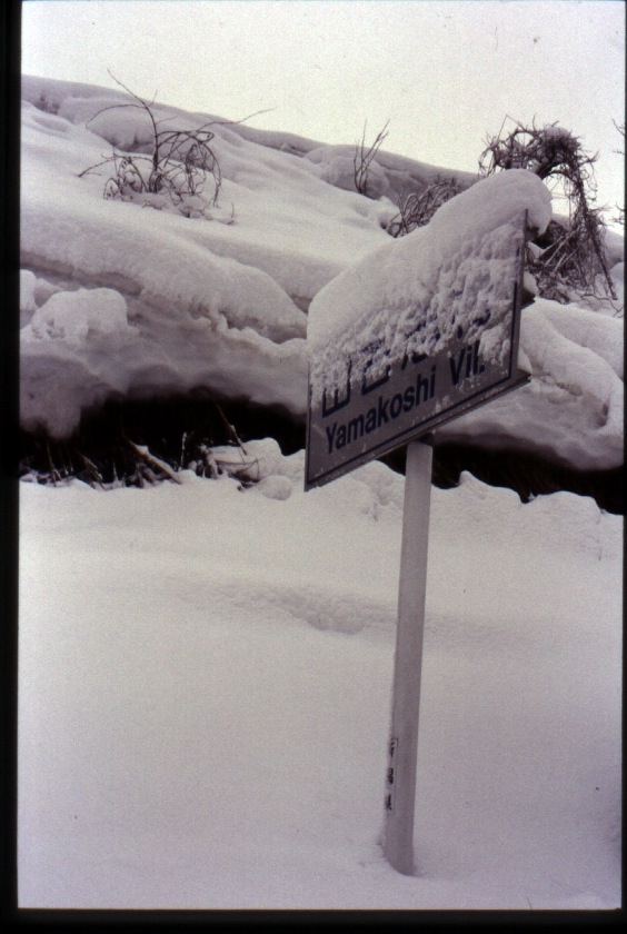 Snow covered sign in Yamakoshi